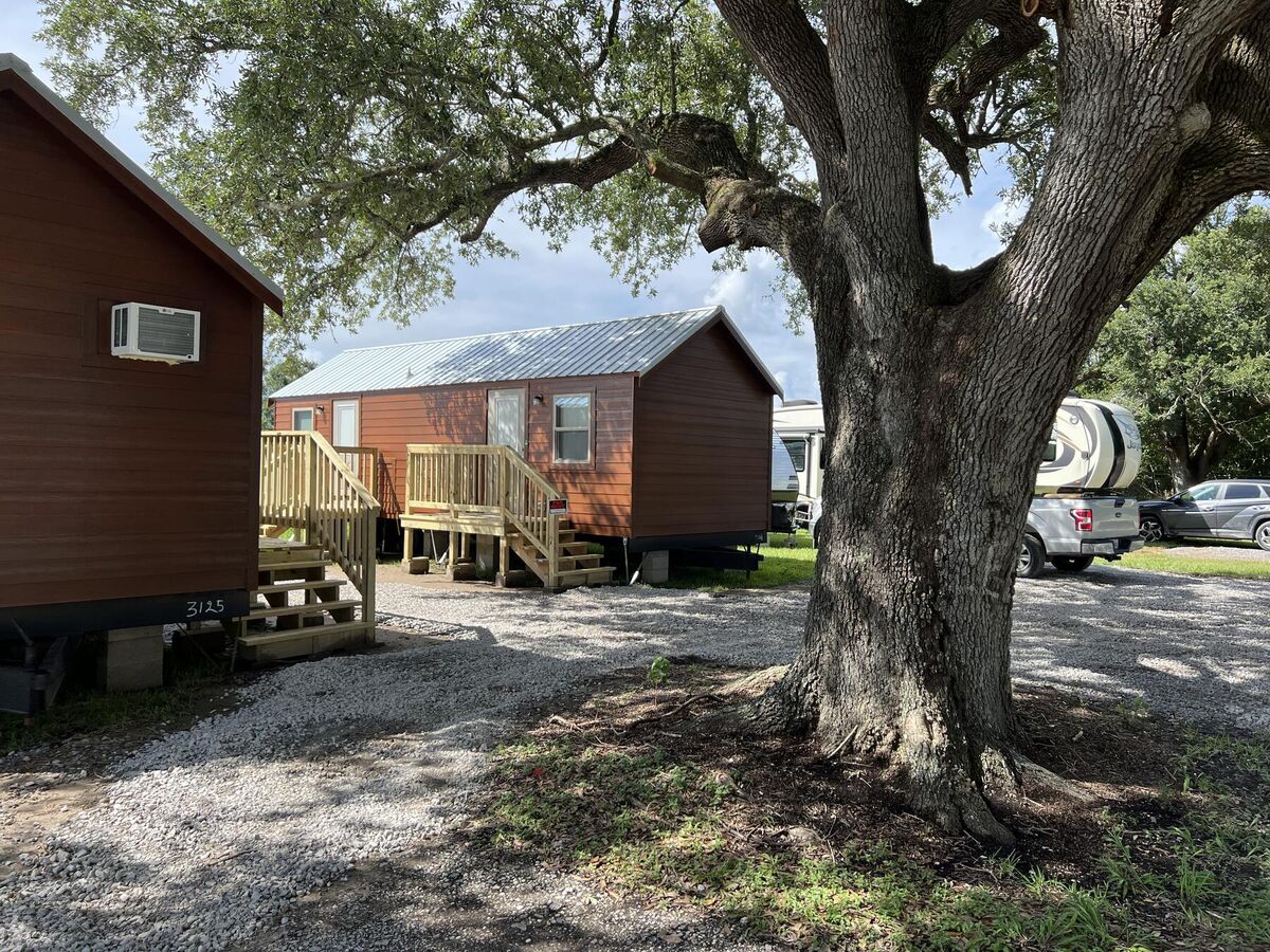 Furnished cabins with wooden steps in the shade of a live oak