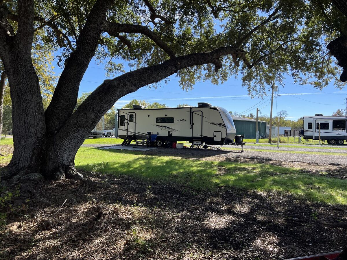 A camper parked on a grassy site under a large live oak
